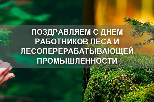 � ���� ���������� ����!