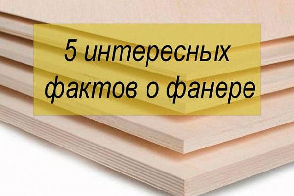 5 ���������� ������ ��� ������
